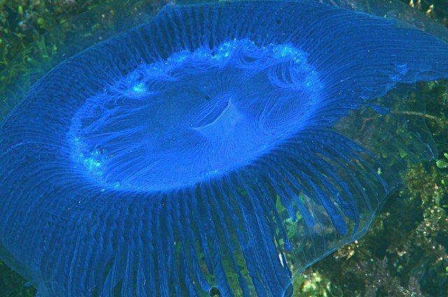 n70_9996balance des couleurs